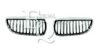 BMW 51118035891 Radiator Grille